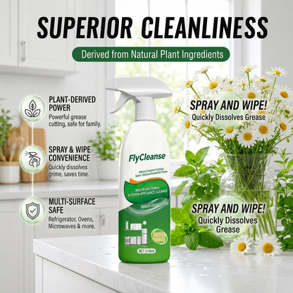 Fly Cleanse Kitchen Cleaner Spray (Pack of 2)